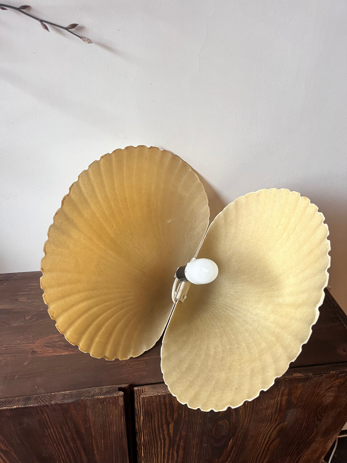 Shell lamp by Michel Mahé + André Cazenave po