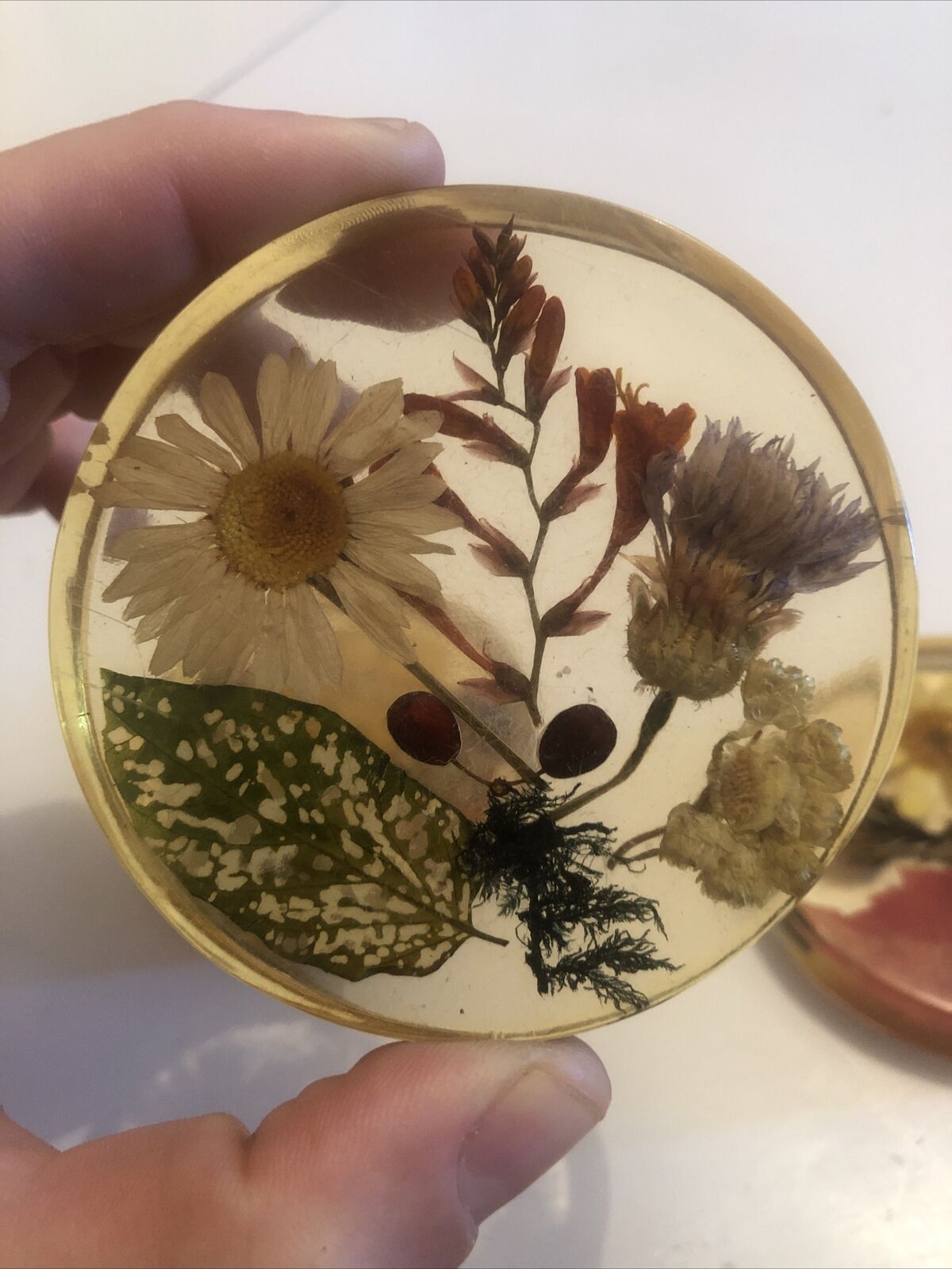 Lot 6 under glass botanical inclusion in resin genuine vintage flowers