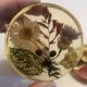 Lot 6 under glass botanical inclusion in resin genuine vintage flowers