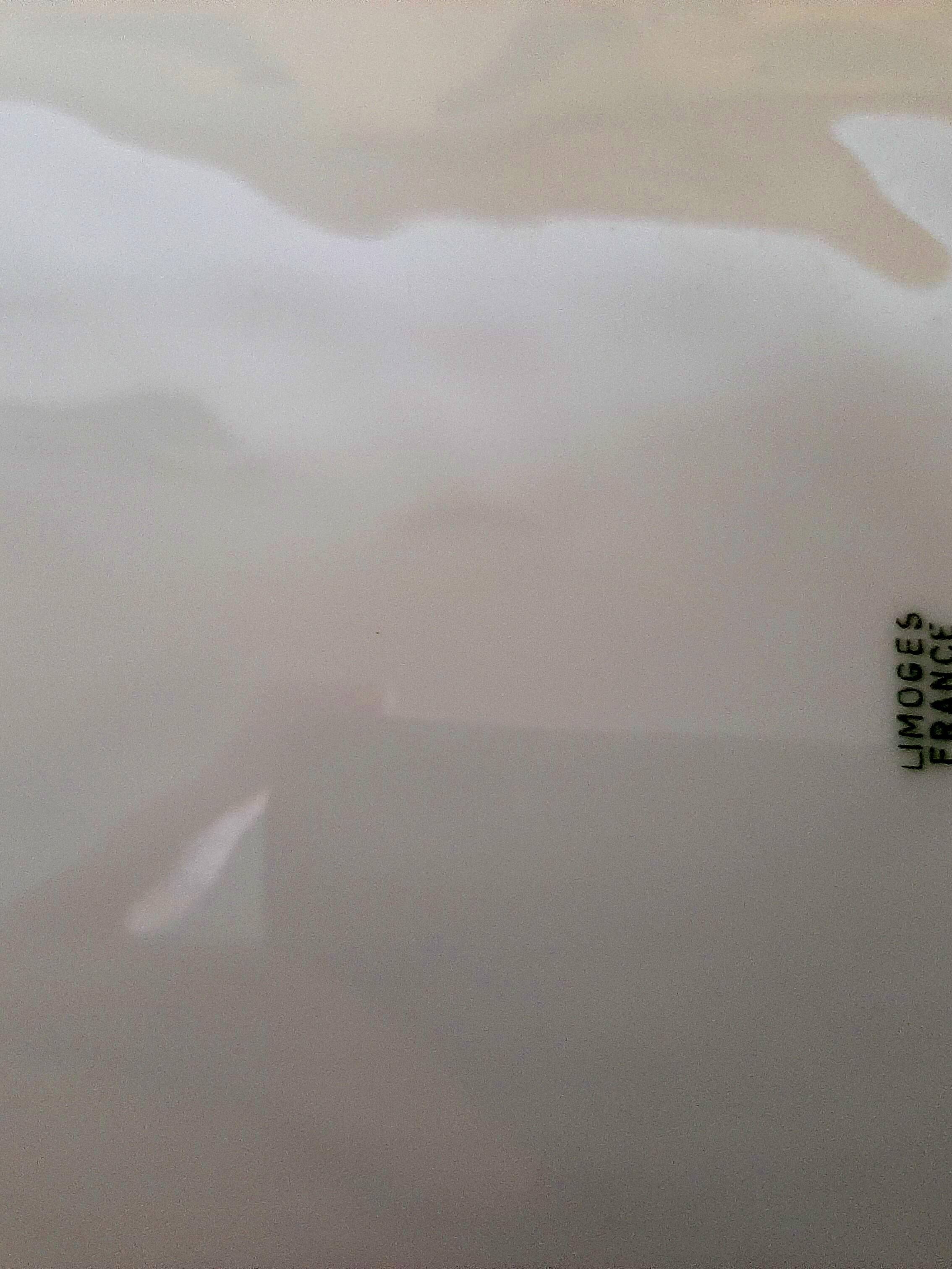 Limoges porcelain asparagus dish