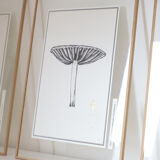 Mushroom board, limited edition