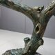 Table à manger vintage en forme d'arbre sculpté, années 1970