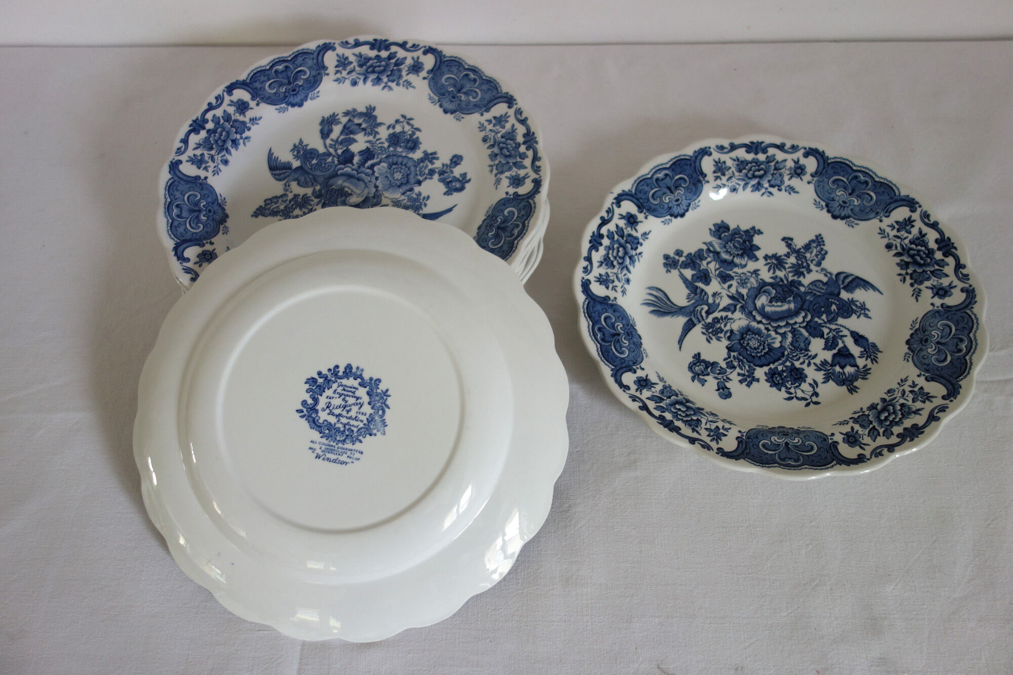 Lot de 8 assiettes plates vintages modèle Windsor, Ridgway Staffordshire England