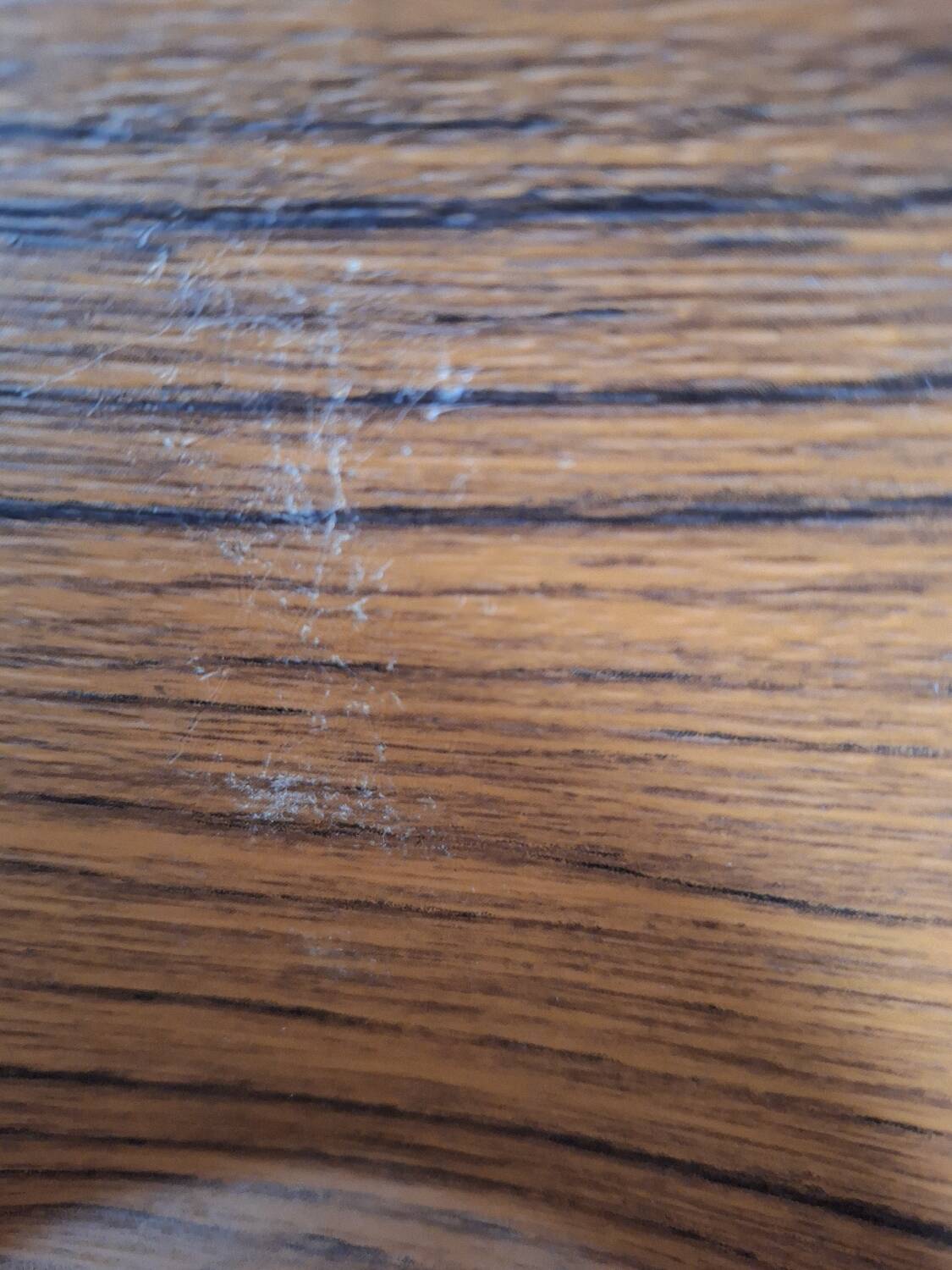 Caleppio salad bowl 1970