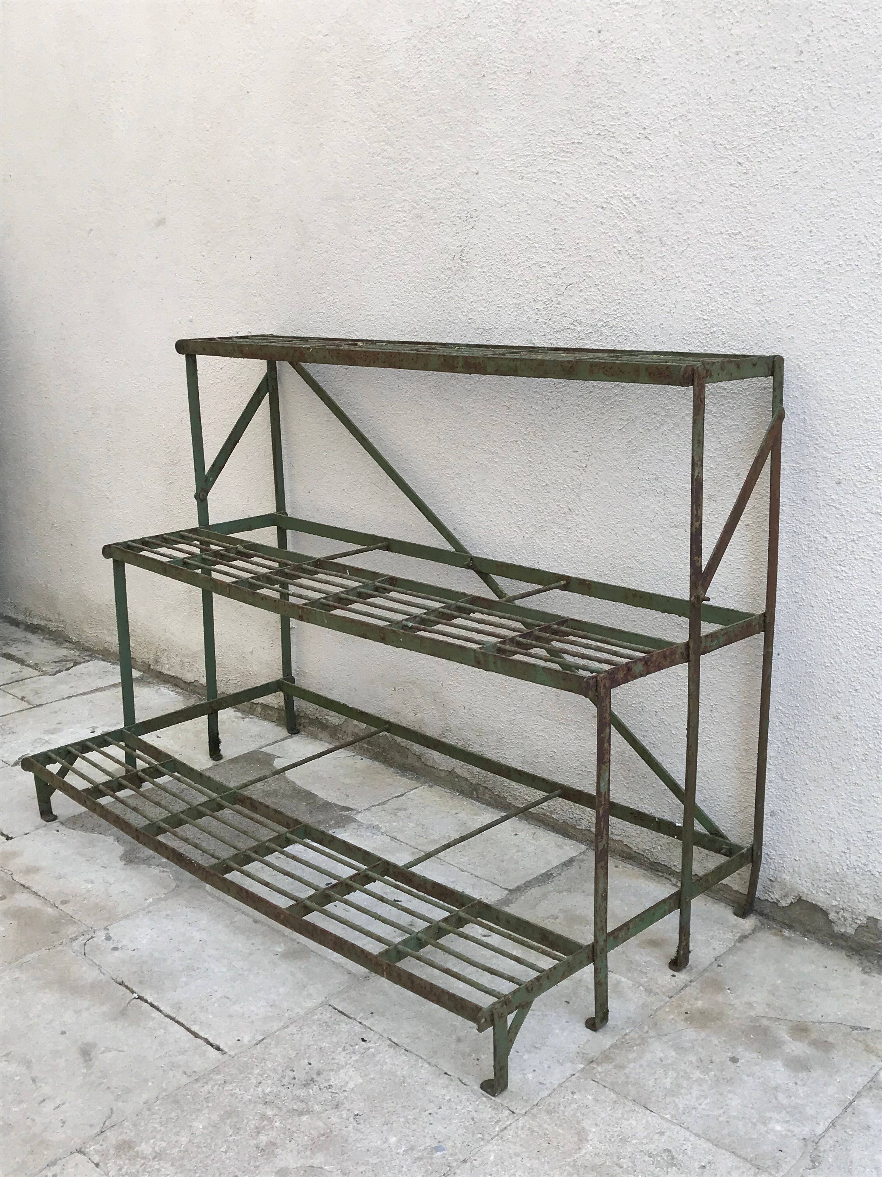 Gate florist plants of ancient craft