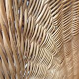 Rattan, wicker lounge set