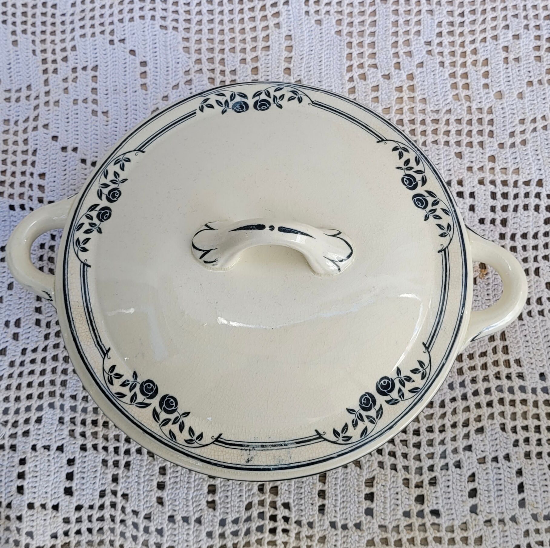 Vegetable or small soup pot salins model saussure a.b. iron earth,