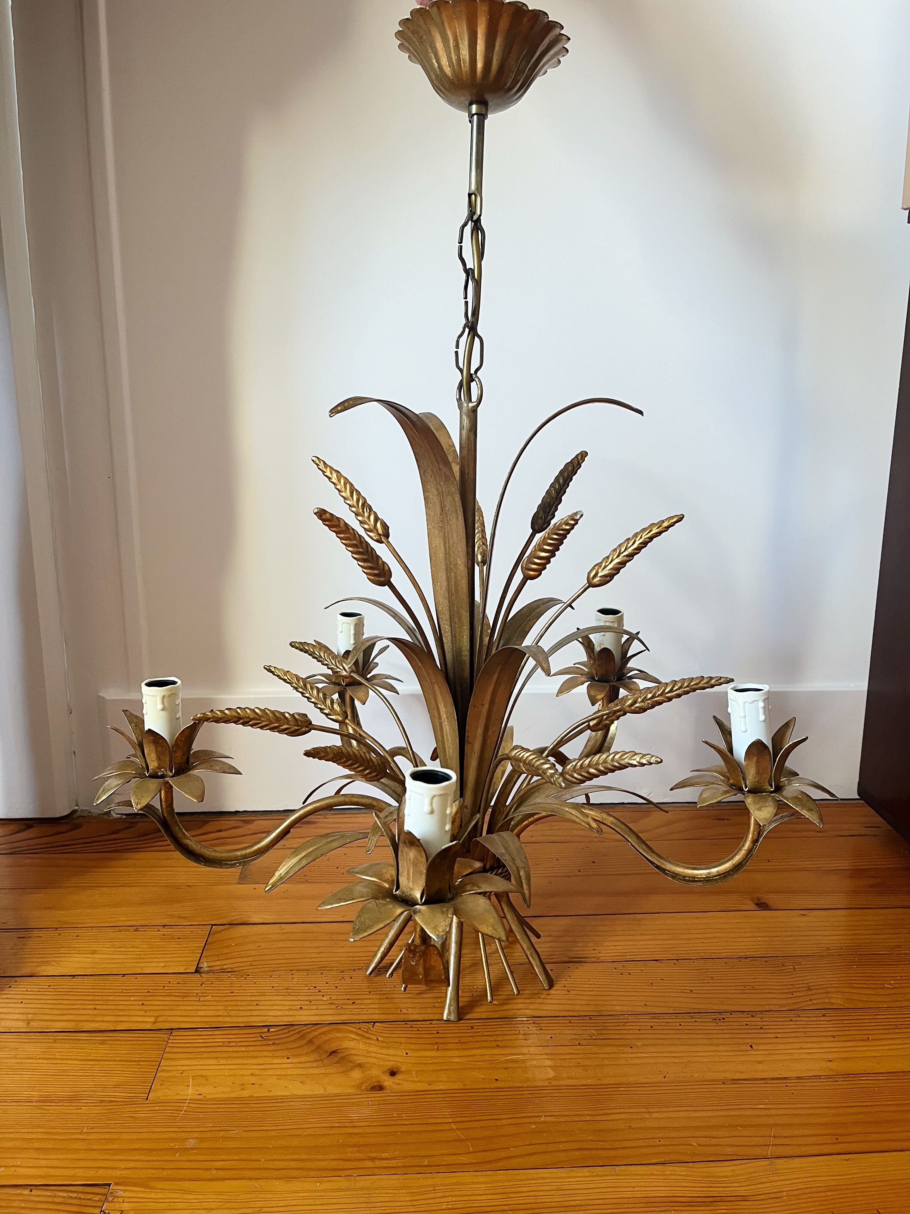 Golden wheat coat luster