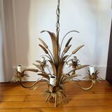 Golden wheat coat luster