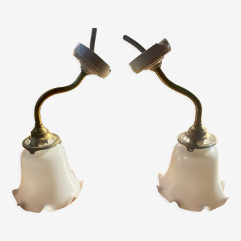 Pair of opaline gooseneck sconces