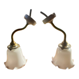 Paire d'appliques col de cygne opaline