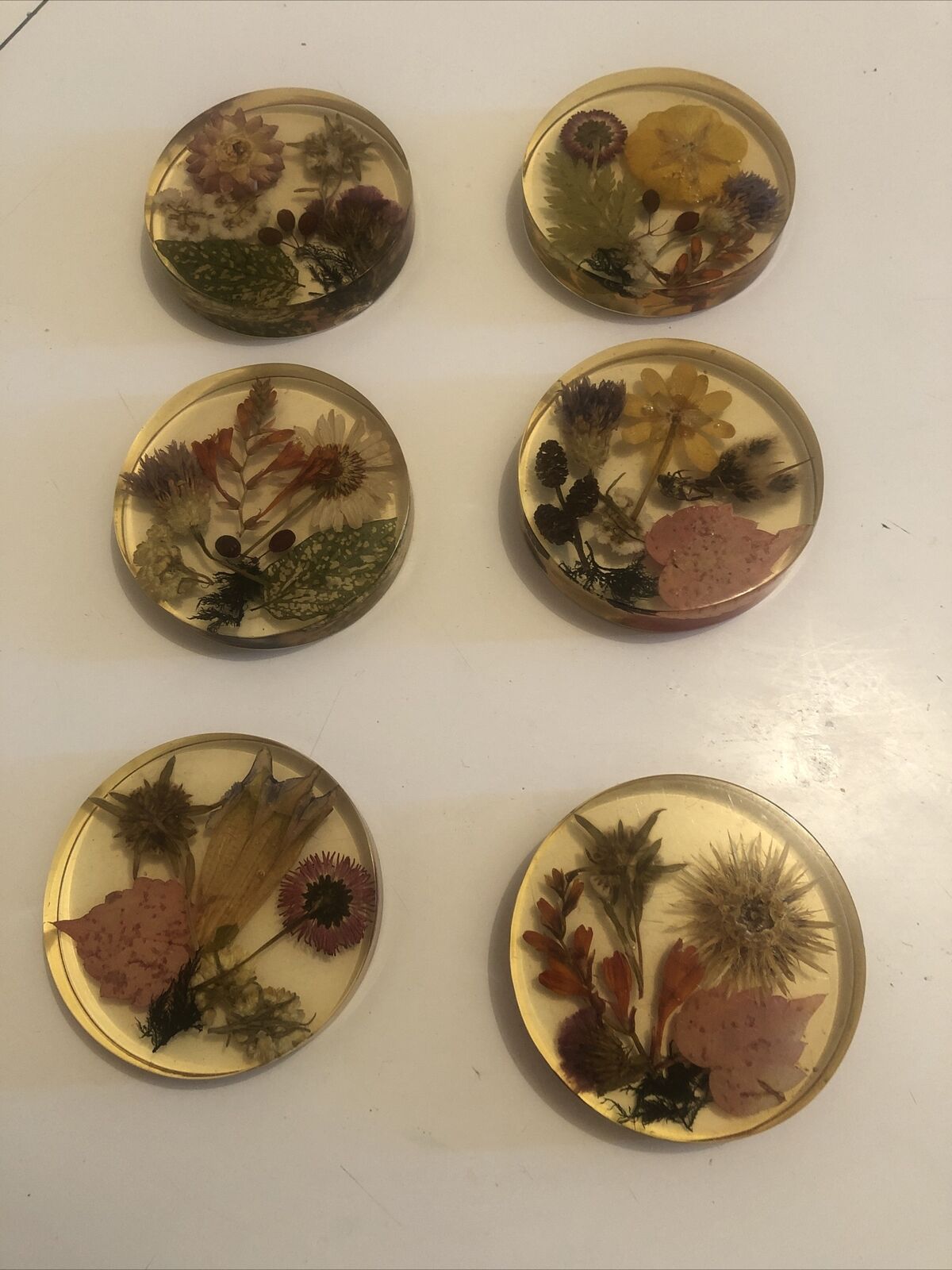 Lot 6 under glass botanical inclusion in resin genuine vintage flowers