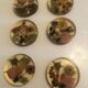 Lot 6 under glass botanical inclusion in resin genuine vintage flowers