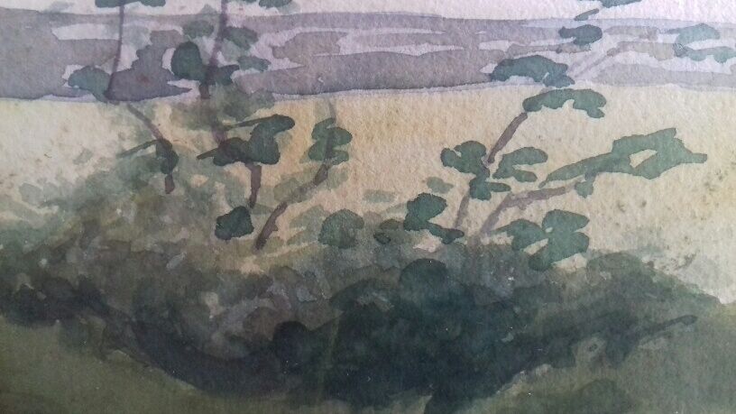 Aquarelle " arbre penché "