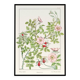 Poster “Rosehip”, after an Art Nouveau lithograph from 1897