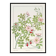 Poster “Rosehip”, after an Art Nouveau lithograph from 1897