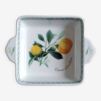 Square porcelain presentation dish tognana le terrine botaniche