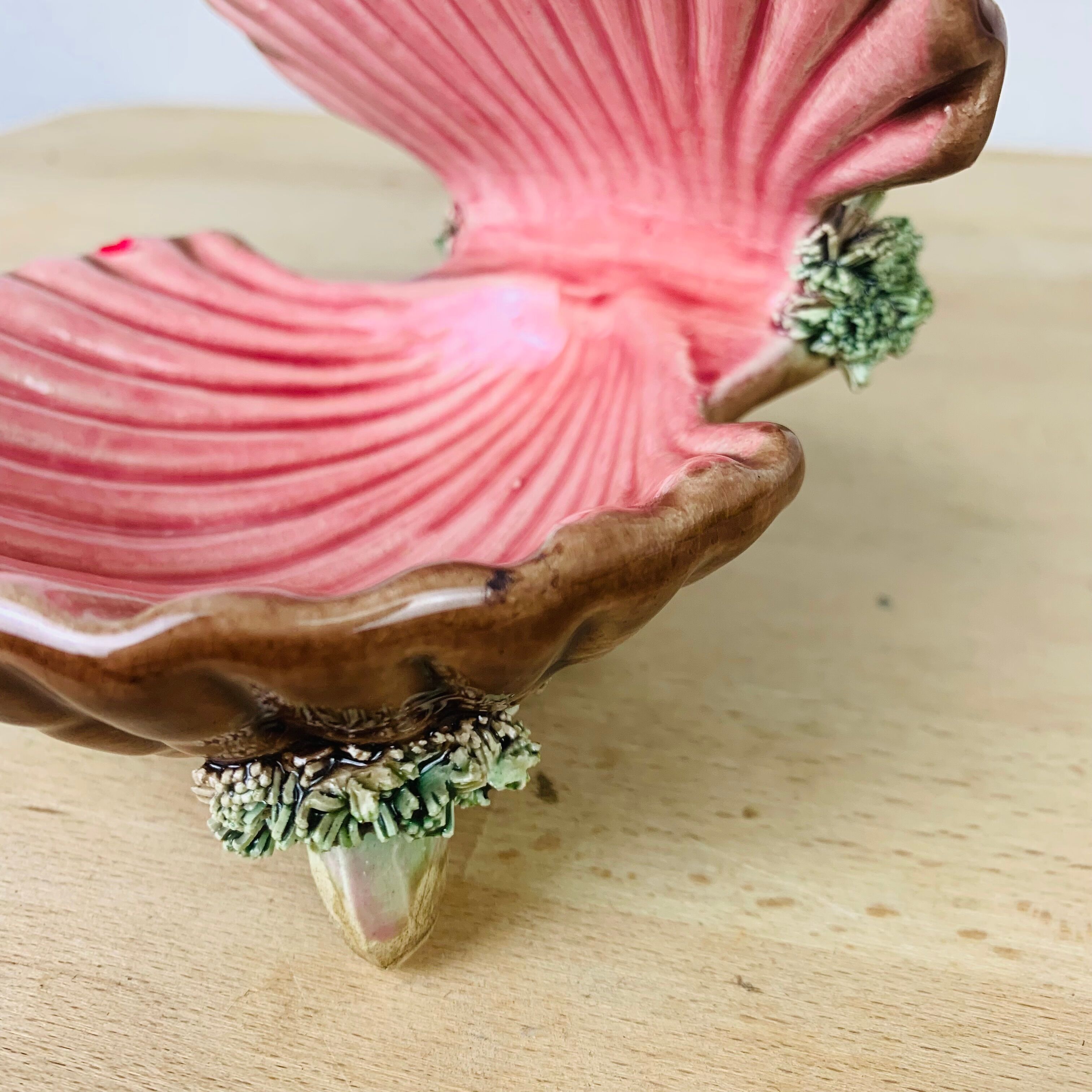 Empty pocket shell slip soap holder