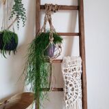 Old wooden ladder