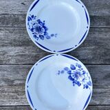 Deep plates Terre de Fer pink blue