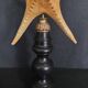 Cabinet of Curiosities starfish poraster superbus on base