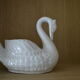 Swan pot cache