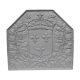 Iron flower iron fireplace plate art foundry never laid