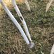 4 chaises de jardin en fer forgé