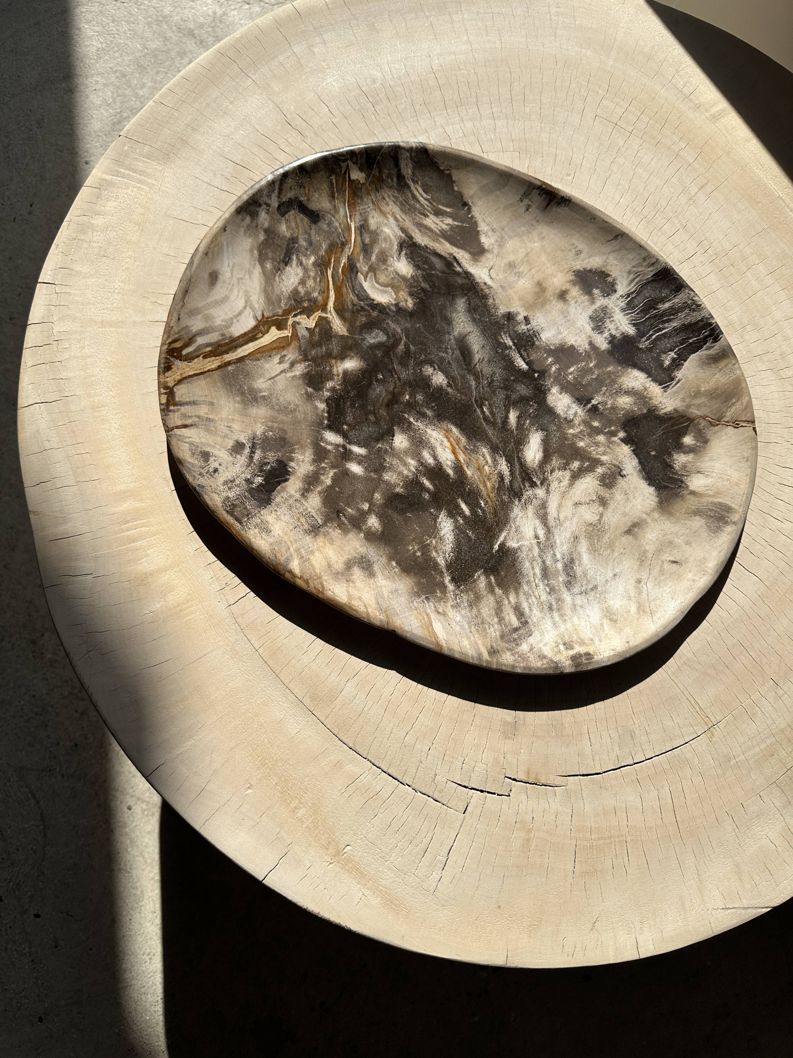 Very large pocket or dish in petrified wood