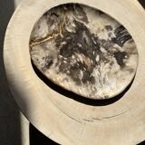 Very large pocket or dish in petrified wood