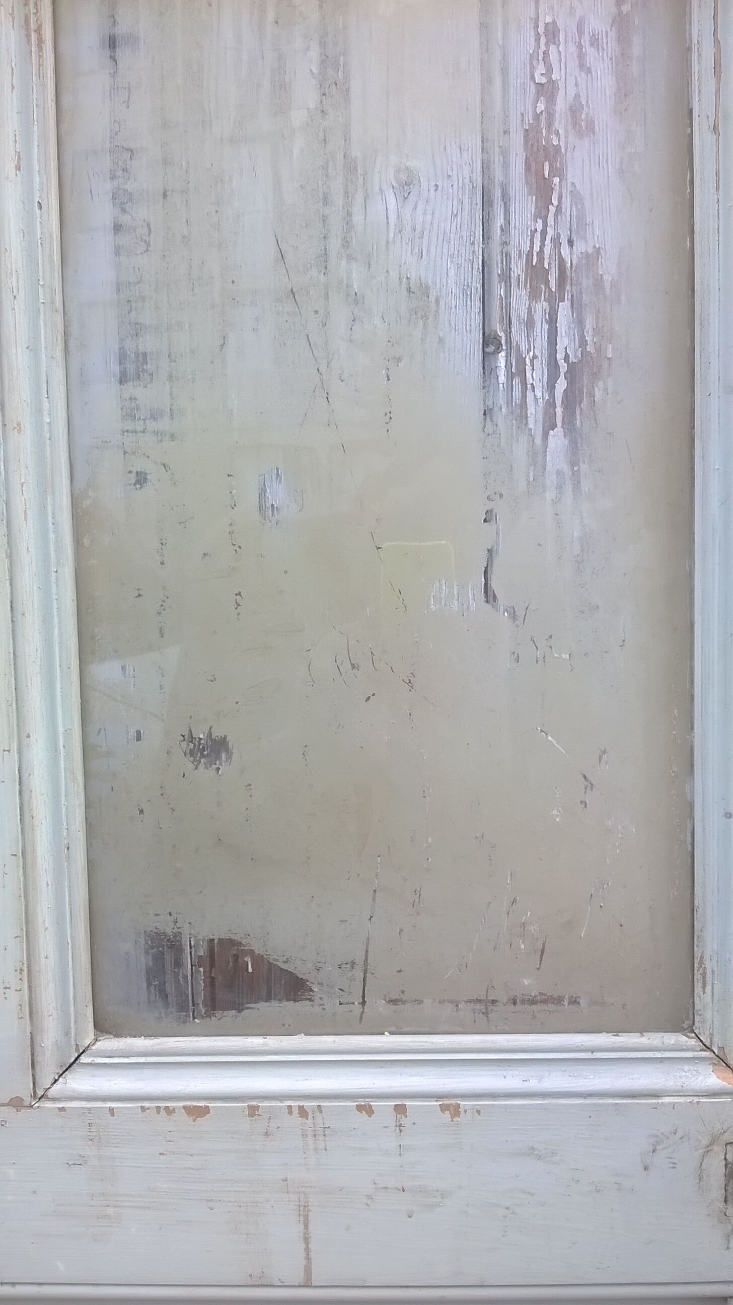 Old glass interior door mint