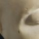 Plaster head