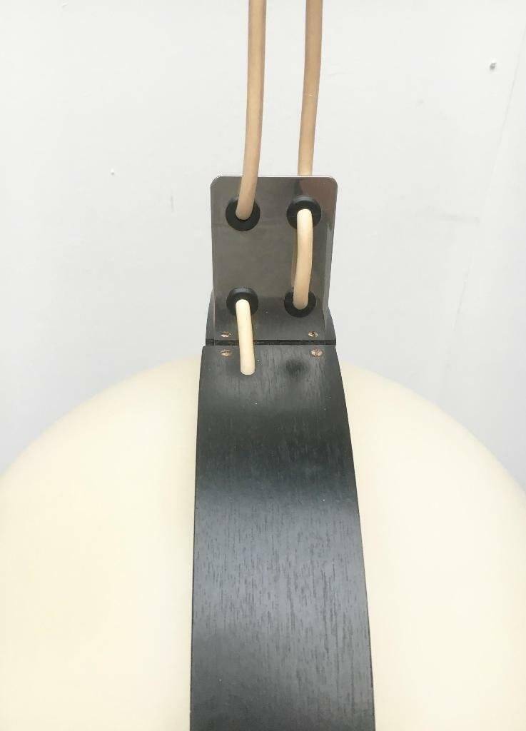 Mid-Century Swiss Space Age Plastic & Plywood Pendant Lamp from Temde, 1960s