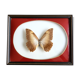 Naturalized Butterfly frame