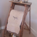 Painter's stepladder