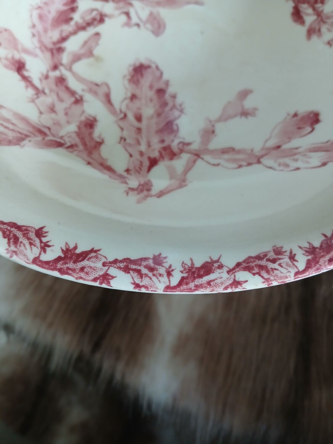 Antique compote dish in Gien ironstone.