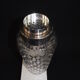 Wmf crystal shake