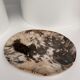 Very large empty pocket or petrified wooden flat