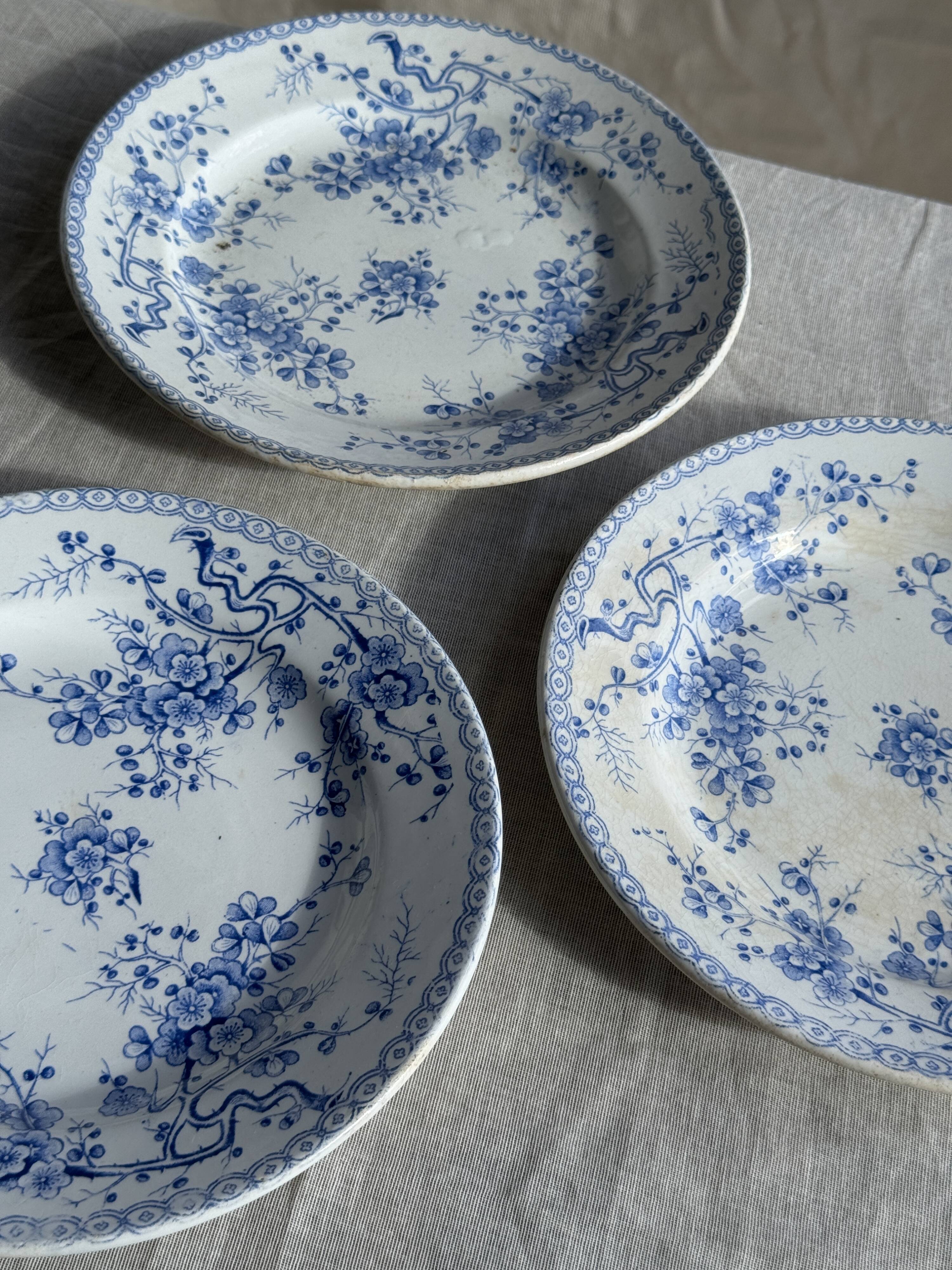 Set of 3 blue plates from Gien pottery, Fleurette model, D22.5.