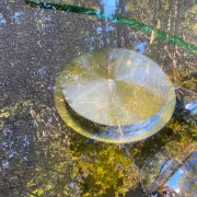 Ricochet coffee table in glass Naos Italy La Casa Animata 1990