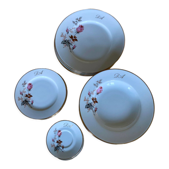 Limoges porcelain plate service (not complete)