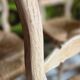 8 rustic oak chairs with patina, straw seating, 1950s.