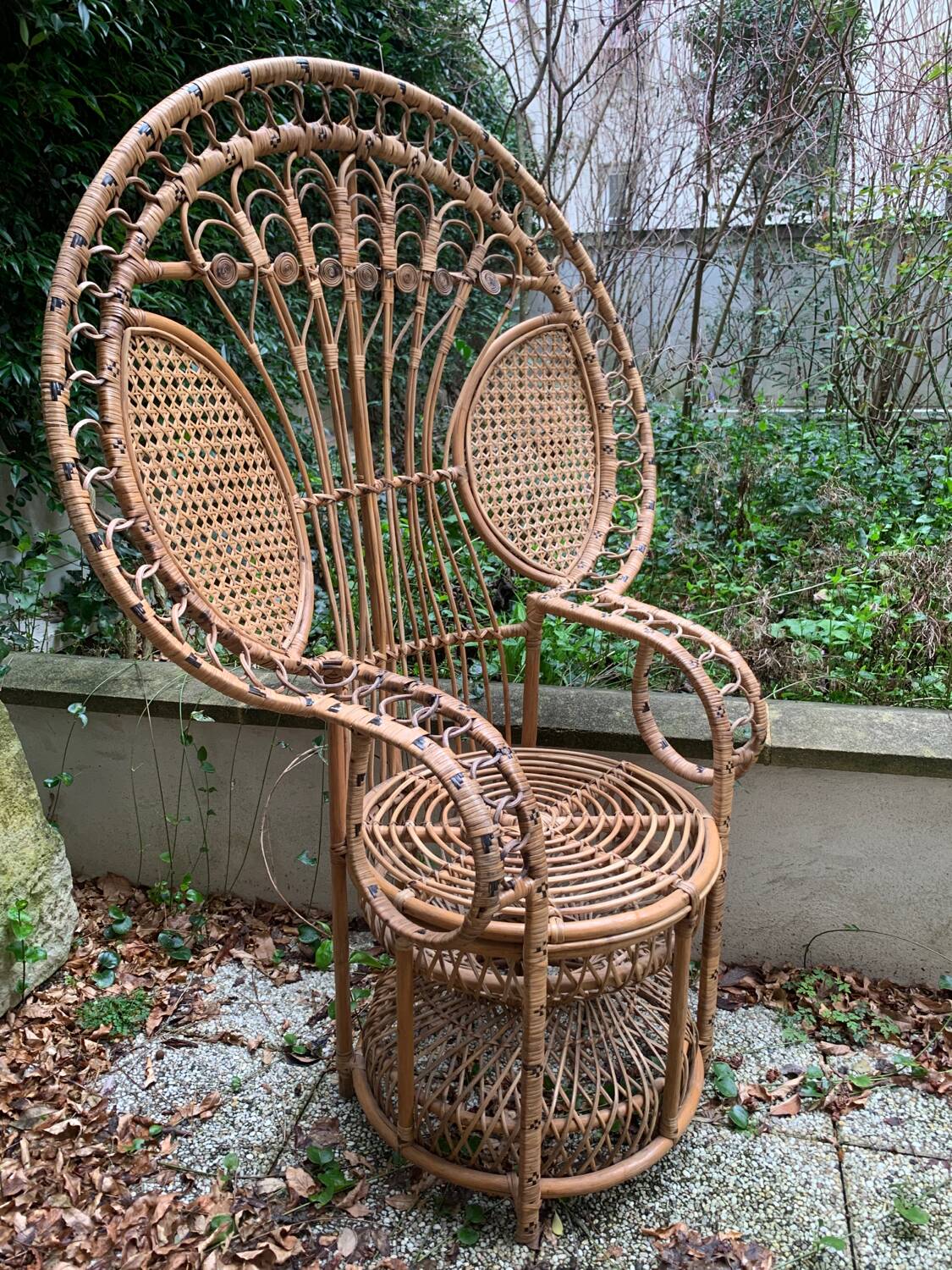 Peacock rattan armchair
