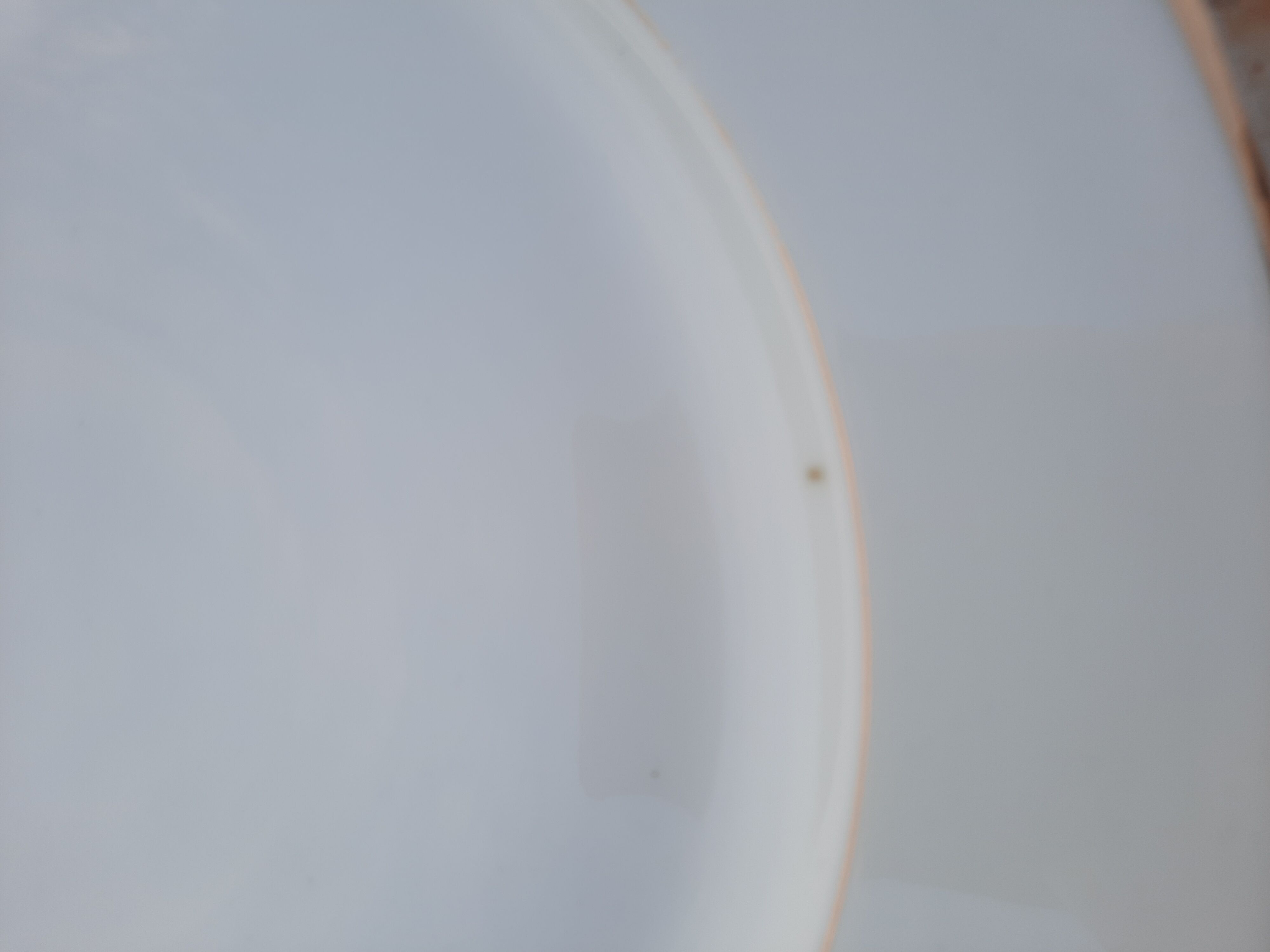 10 white flat plates Limoges