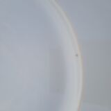 10 white flat plates Limoges