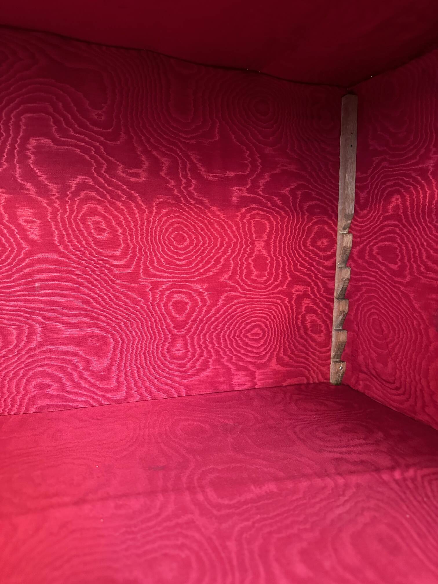 Small walnut display case