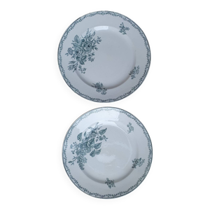 2 plats terre de fer