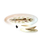 Large fish platter with its sauce boat, annecy model, vintage gien.