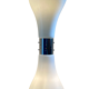 CARLO NASON LAMP