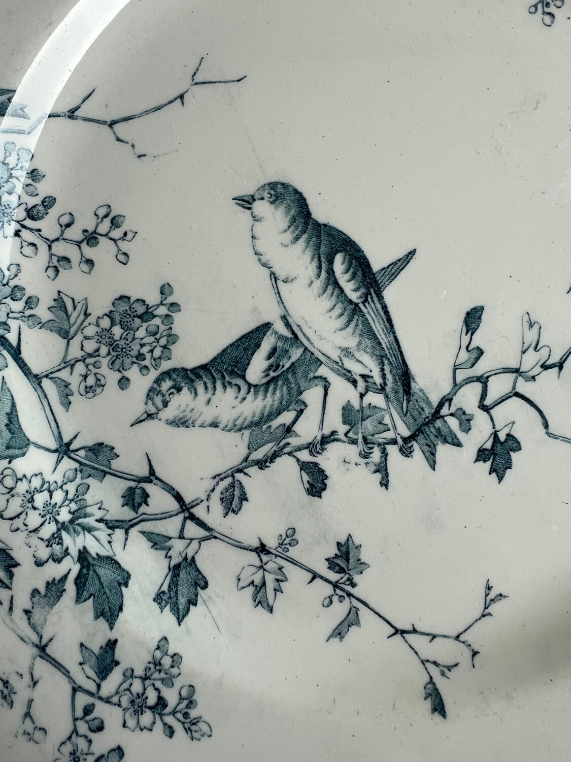 Luneville and KG Fauvette dinner plate